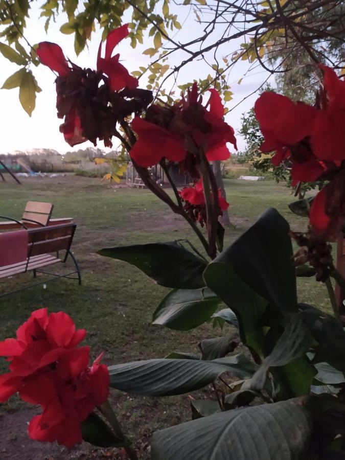 Вилла Finca La Pasionaria - Conectandonos Белен-де-Эскобар Экстерьер фото
